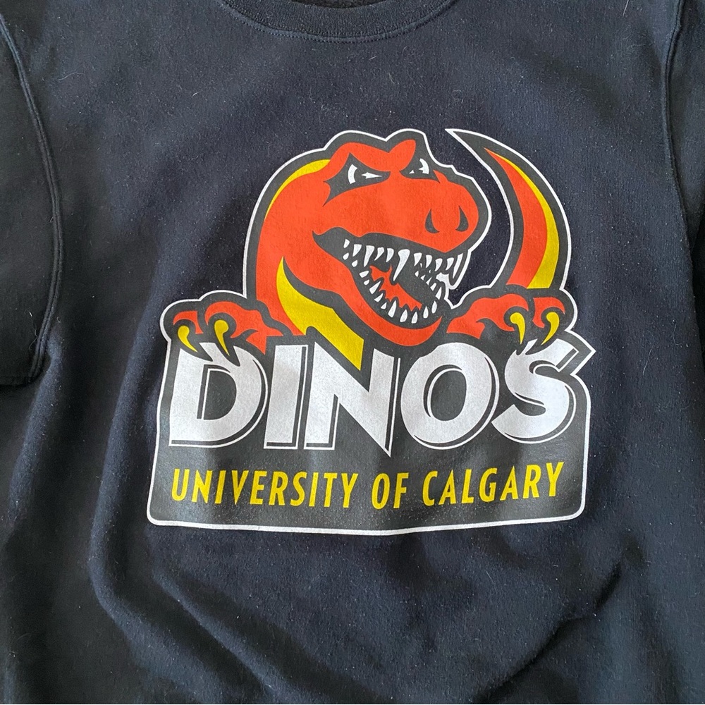 2/$15 🍍 University of Calgary Dino’s sweater - Picture 2 of 4